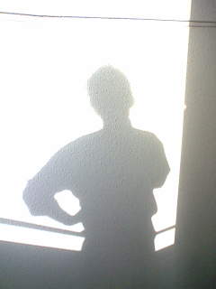 the_shadow.jpg